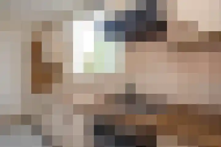 Vlonderstraat 8 Nieuwstadt thumbnail 15