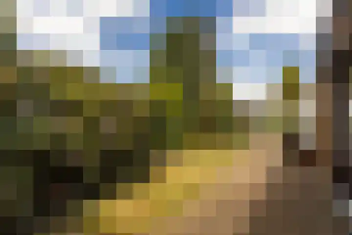 Vlonderstraat 8 Nieuwstadt thumbnail 22