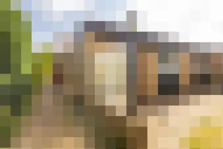 Vlonderstraat 8 Nieuwstadt thumbnail 25