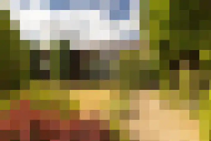 Vlonderstraat 8 Nieuwstadt thumbnail 31