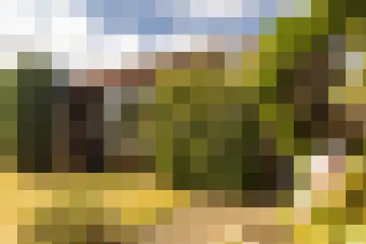 Vlonderstraat 8 Nieuwstadt thumbnail 4