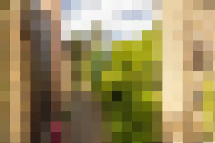 Vlonderstraat 8 Nieuwstadt thumbnail 5