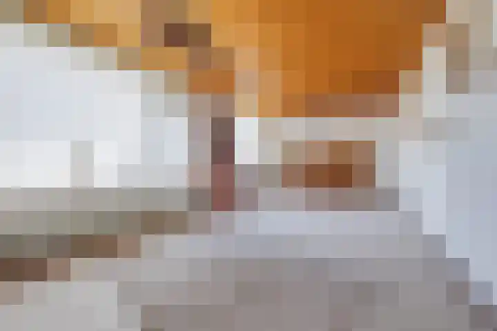 Vlonderstraat 8 Nieuwstadt thumbnail 9