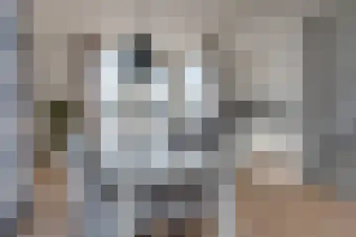 Vlondertuin 1 Houten thumbnail 17