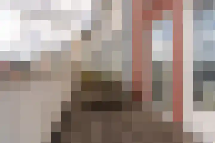 Vlondertuin 1 Houten thumbnail 19