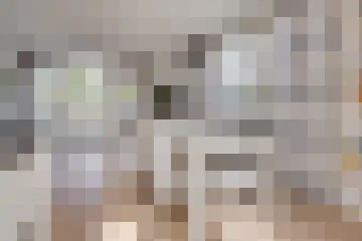 Vlondertuin 1 Houten thumbnail 22