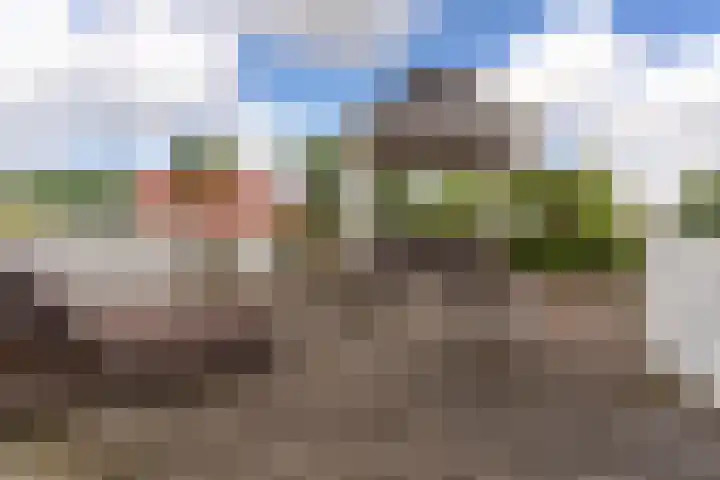 Vlondertuin 1 Houten thumbnail 23