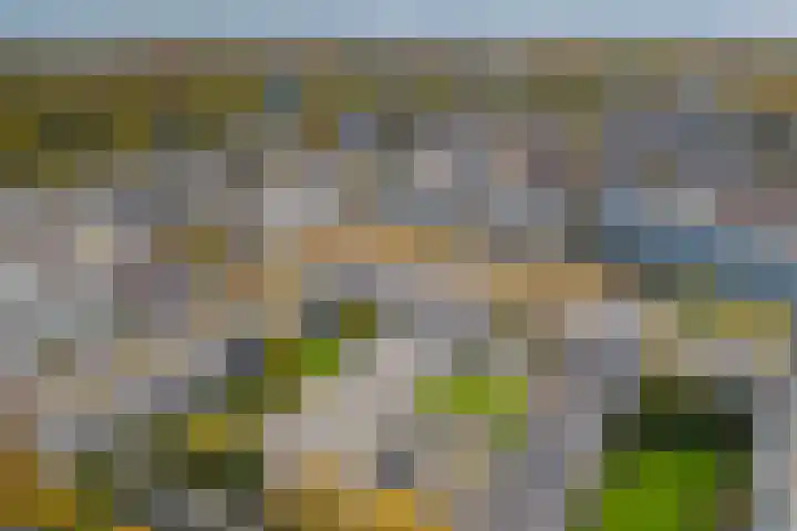 Vlondertuin 1 Houten thumbnail 27