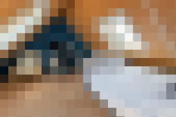 Vlondertuin 28 Houten thumbnail 43