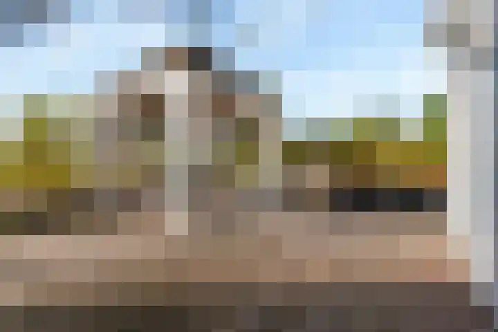 Vlondertuin 28 Houten thumbnail 47