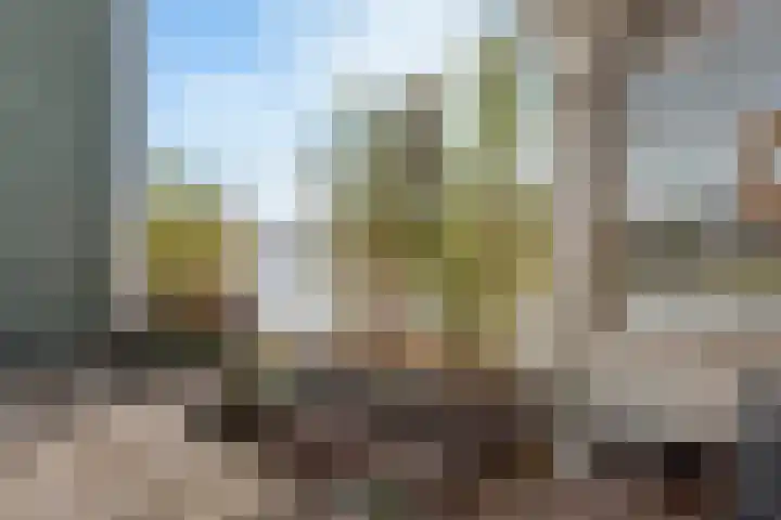 Vlondertuin 28 Houten thumbnail 48