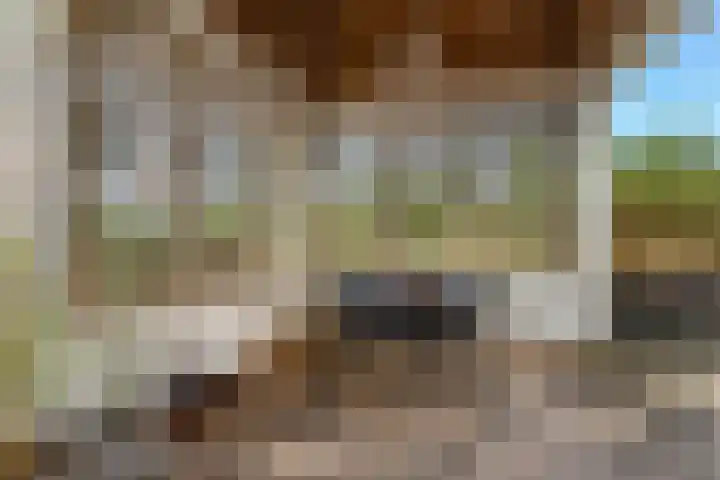 Vlondertuin 28 Houten thumbnail 49