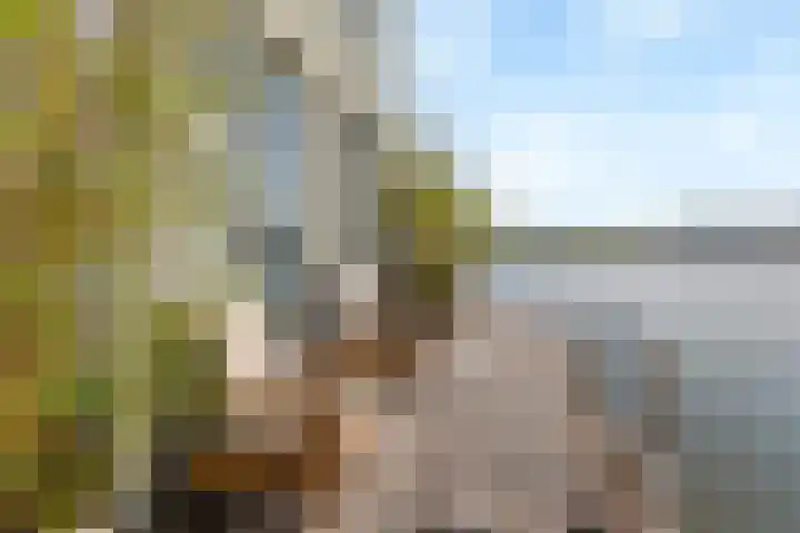 Vlondertuin 28 Houten thumbnail 51