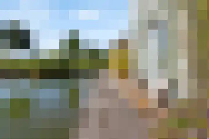 Vlondertuin 28 Houten thumbnail 52