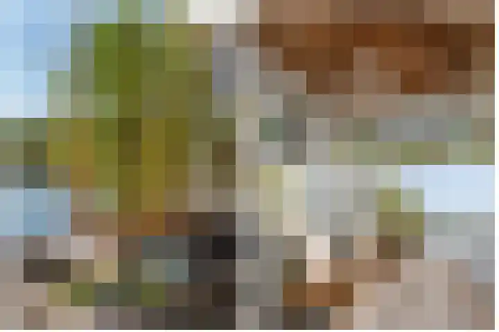 Vlondertuin 28 Houten thumbnail 54