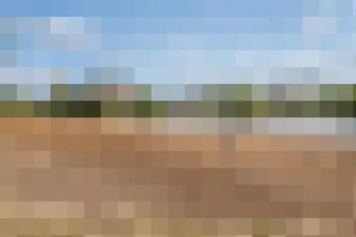 Vlondertuin 28 Houten thumbnail 60