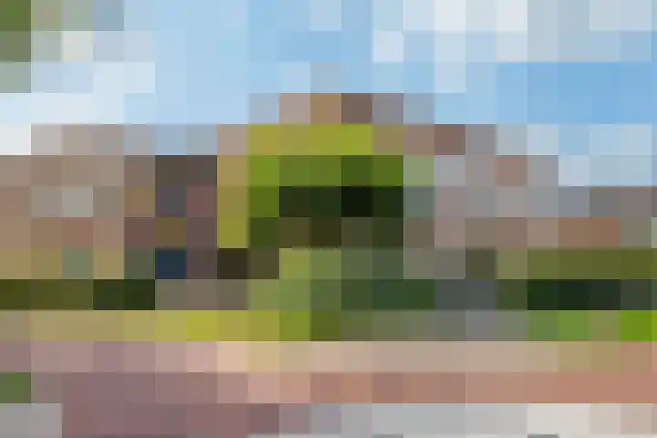 Vlondertuin 28 Houten thumbnail 61
