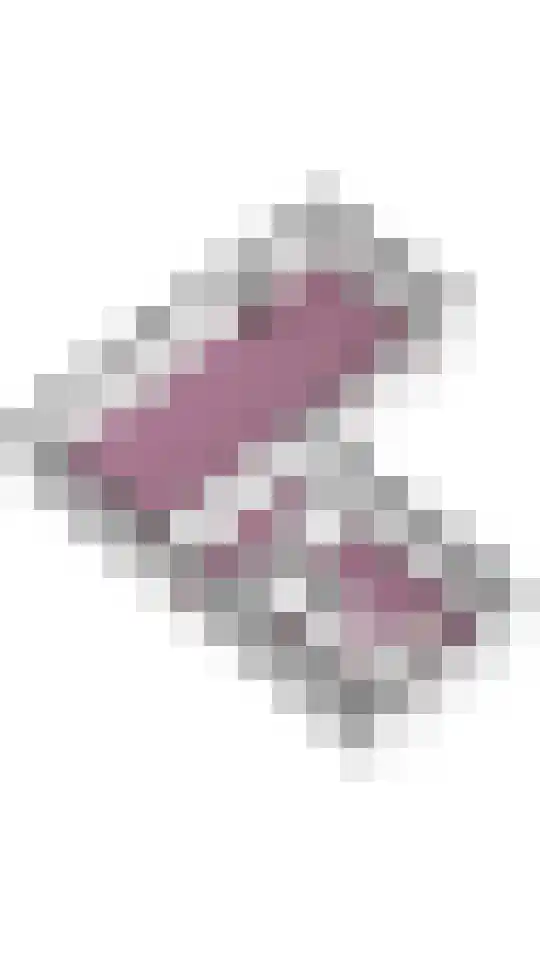 Vlondertuin 28 Houten thumbnail 64