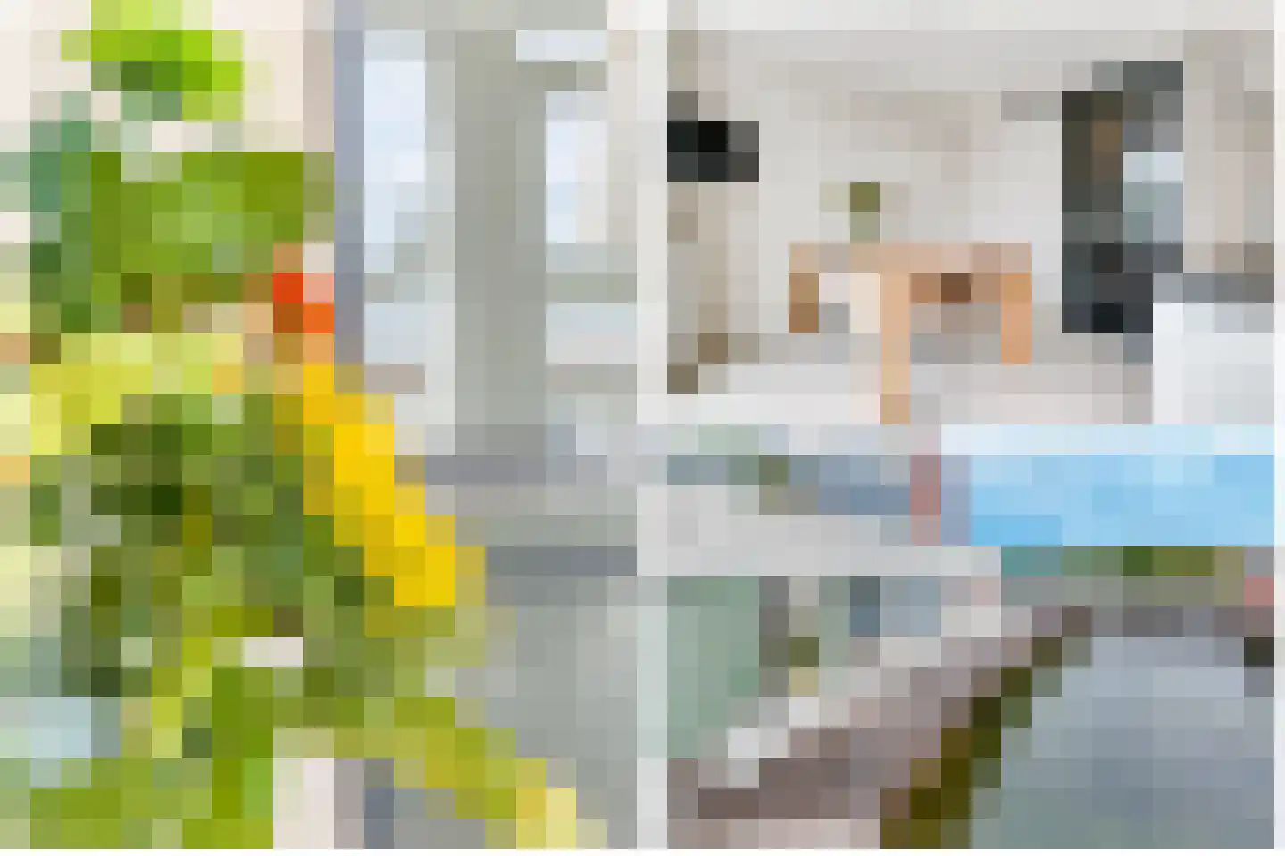 Vlondertuin 4 Houten thumbnail 13