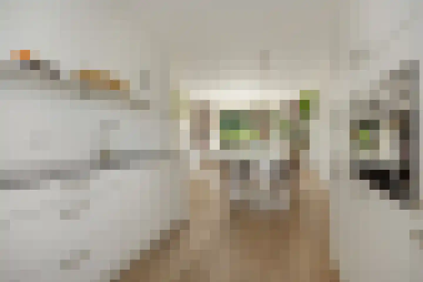 Vlondertuinen 2 Rosmalen thumbnail 13