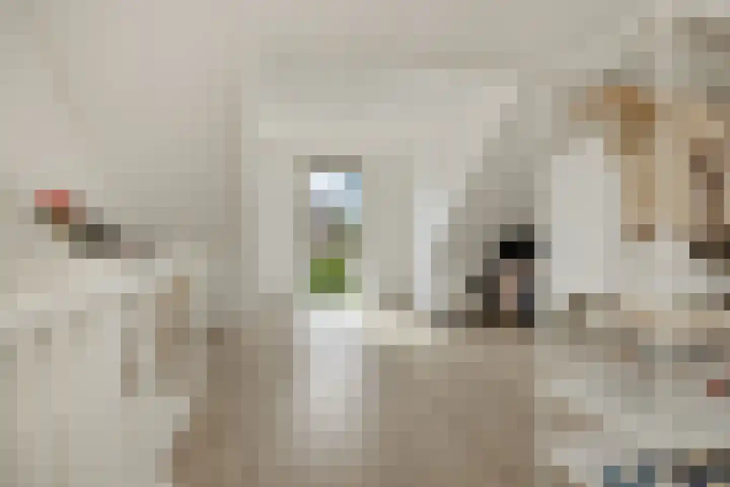 Vlondertuinen 2 Rosmalen thumbnail 24