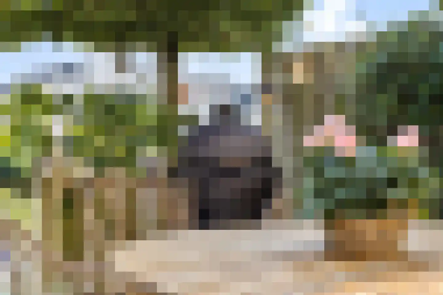 Vlondertuinen 2 Rosmalen thumbnail 30