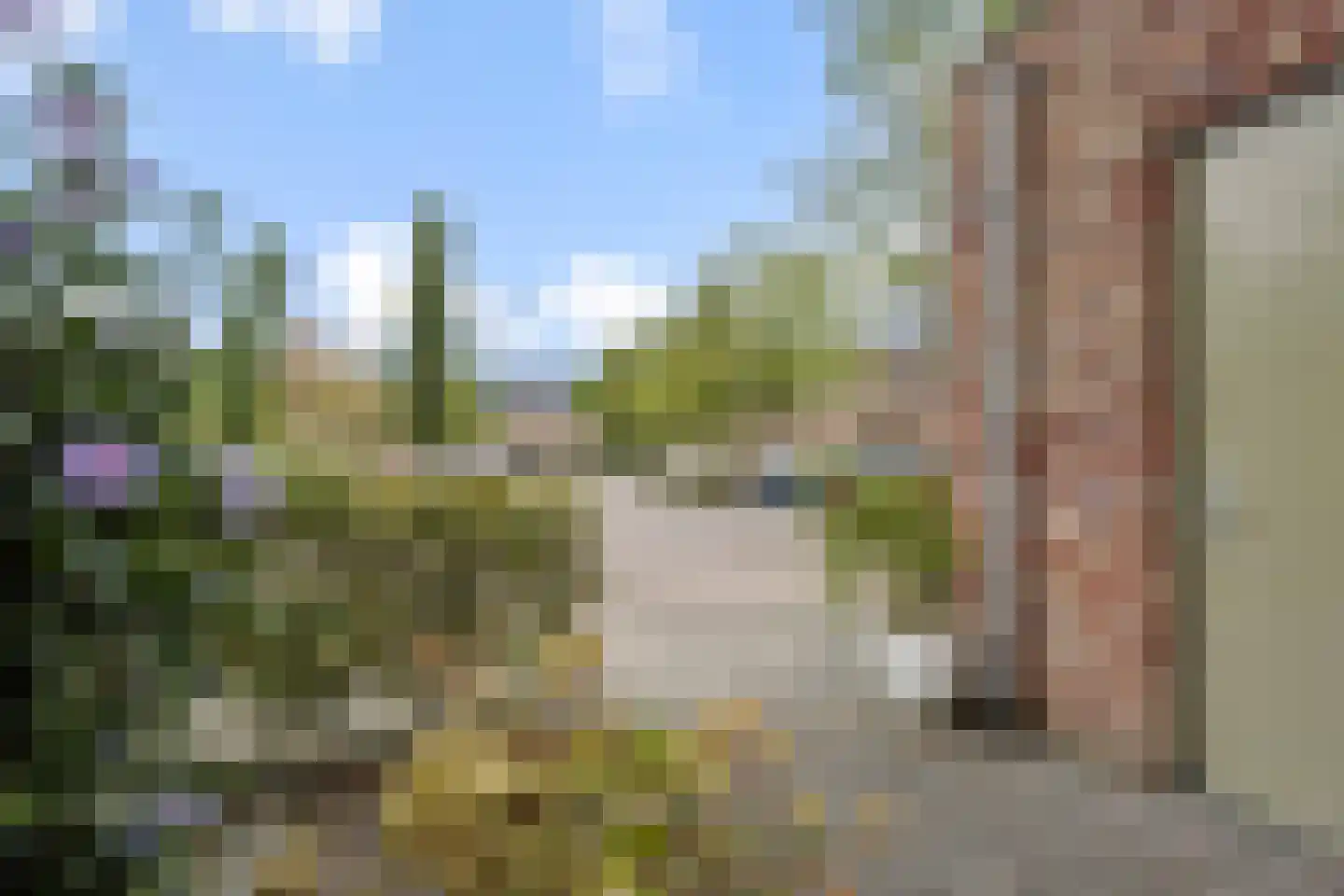 Vlondertuinen 2 Rosmalen thumbnail 35