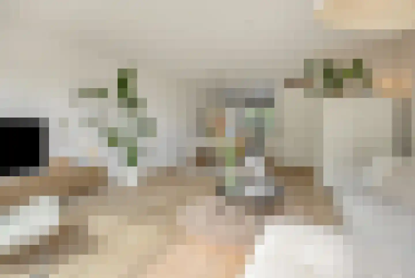 Vlondertuinen 2 Rosmalen thumbnail 8