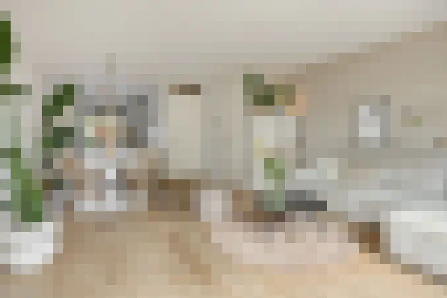 Vlondertuinen 2 Rosmalen thumbnail 9
