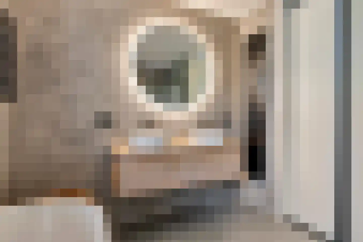 Vlondertuinen 55 Rosmalen thumbnail 37