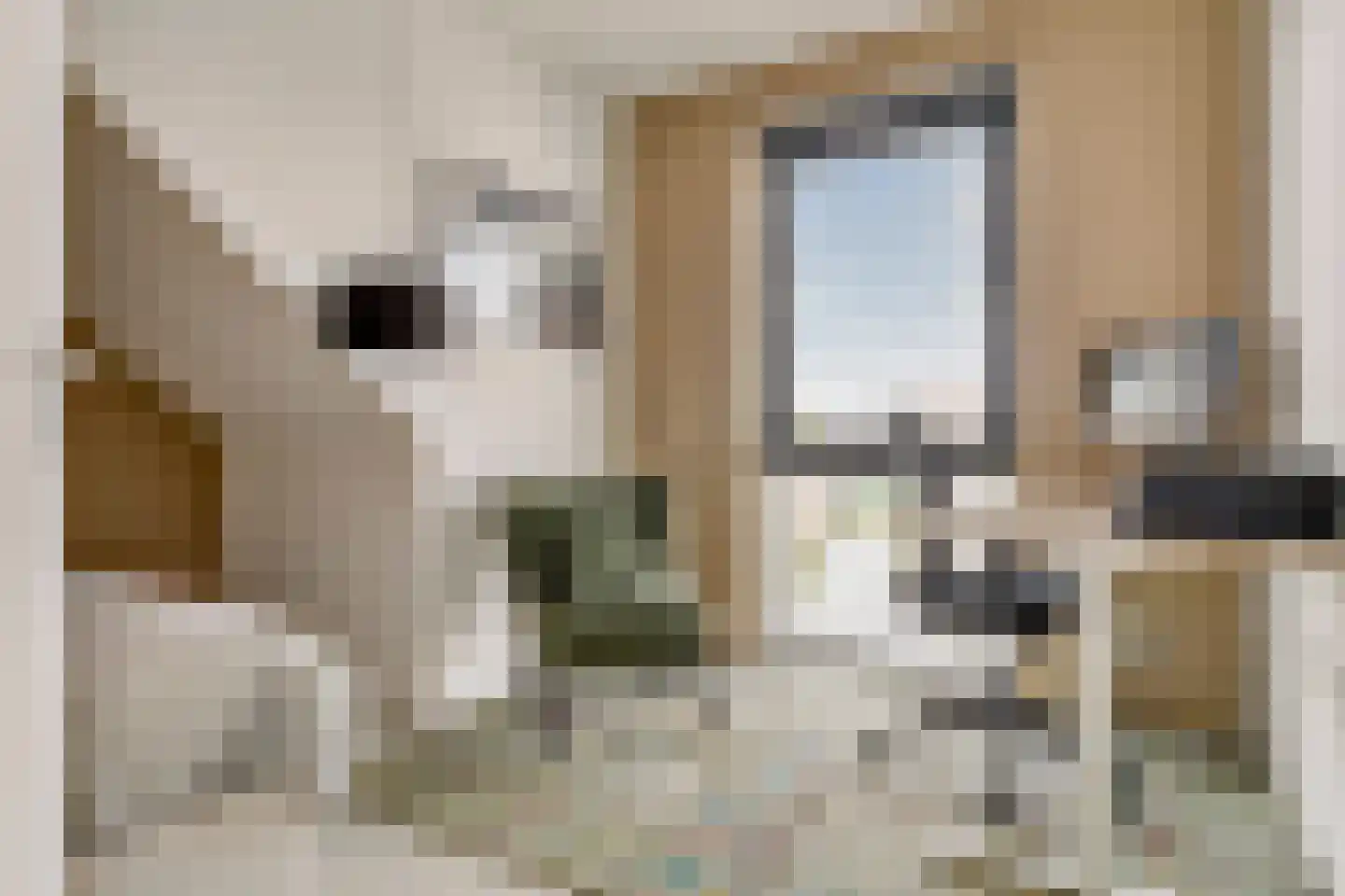 Vlondertuinen 55 Rosmalen thumbnail 45