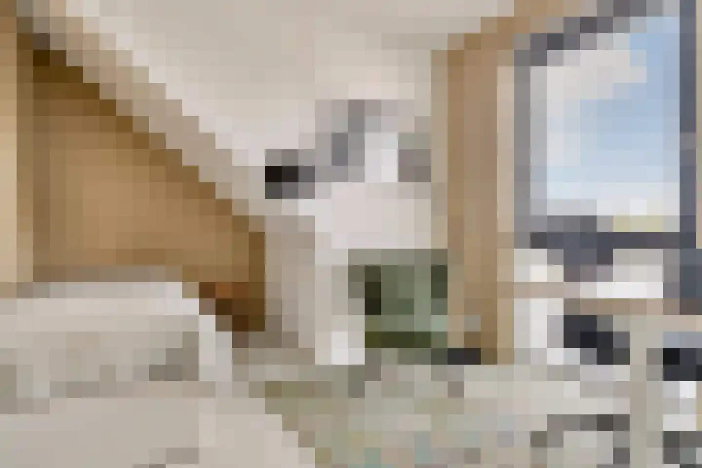 Vlondertuinen 55 Rosmalen thumbnail 46