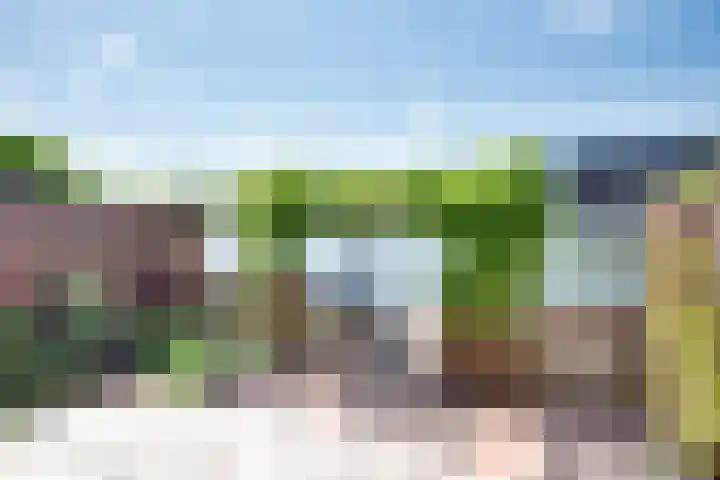 Vlondertuinen 58 Rosmalen thumbnail 21