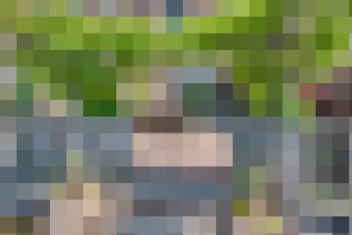 Vlondertuinen 58 Rosmalen thumbnail 22