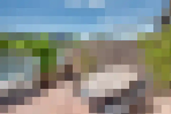 Vlondertuinen 58 Rosmalen thumbnail 25