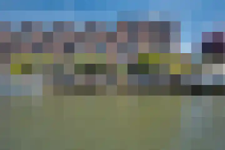 Vlondertuinen 58 Rosmalen thumbnail 28