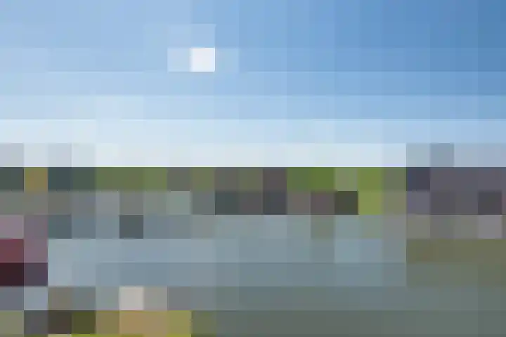 Vlondertuinen 58 Rosmalen thumbnail 29