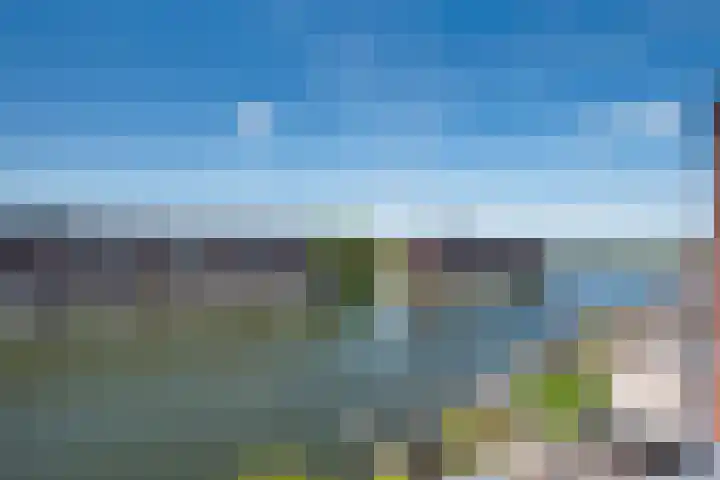 Vlondertuinen 58 Rosmalen thumbnail 30
