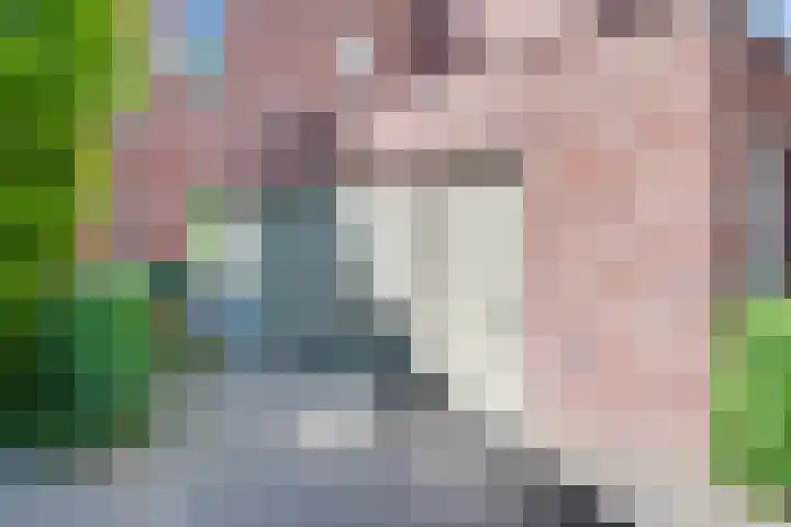Vlondertuinen 58 Rosmalen thumbnail 32