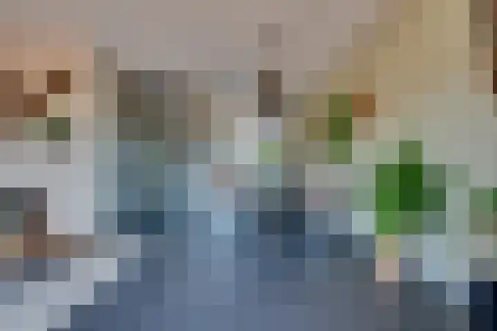 Vlondertuinen 58 Rosmalen thumbnail 4