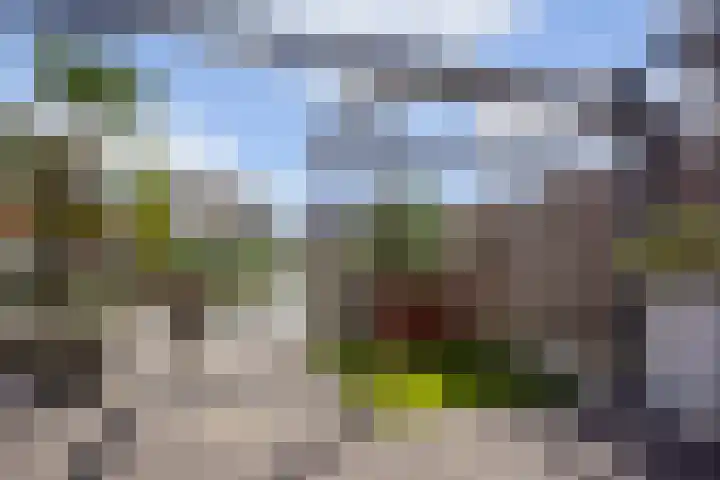 Vlondertuinen 65 Rosmalen thumbnail 14