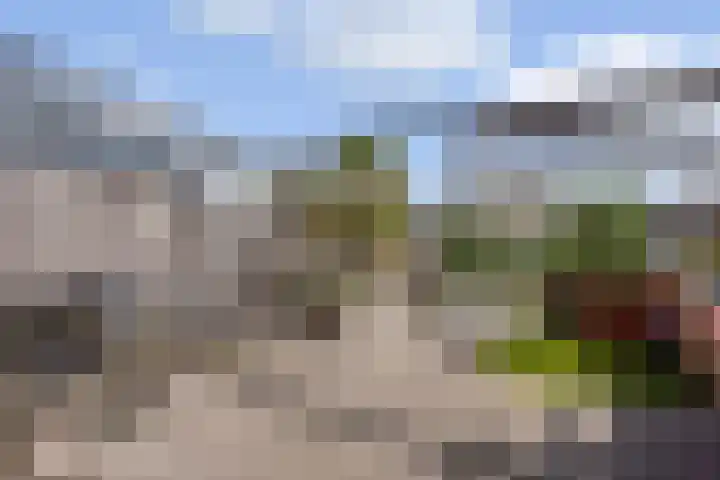 Vlondertuinen 65 Rosmalen thumbnail 16