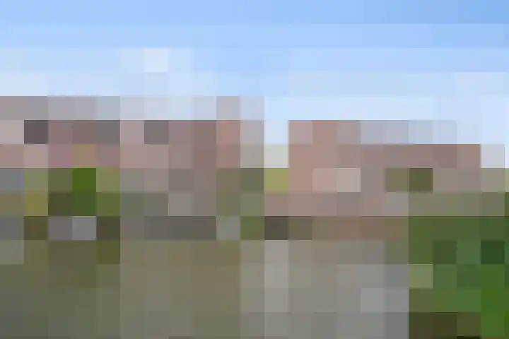 Vlondertuinen 65 Rosmalen thumbnail 19