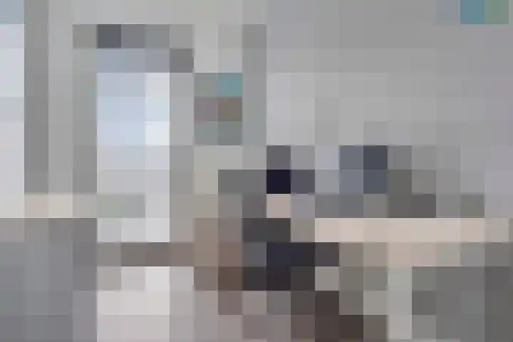Vlondertuinen 65 Rosmalen thumbnail 26
