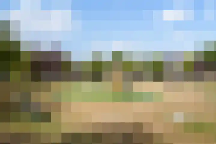 Vlondertuinen 65 Rosmalen thumbnail 40