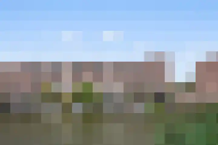 Vlondertuinen 65 Rosmalen thumbnail 41