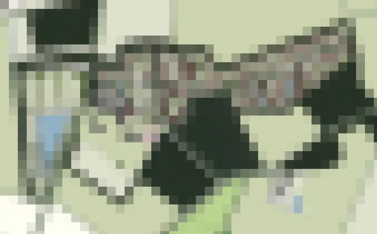Vloodweg 7 J10 Enter thumbnail 29