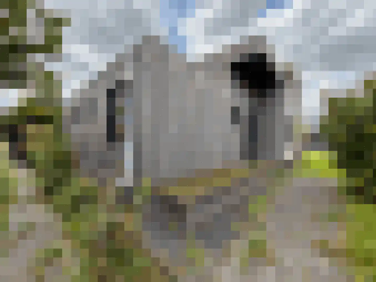 Vloodweg 7 J10 Enter thumbnail 6