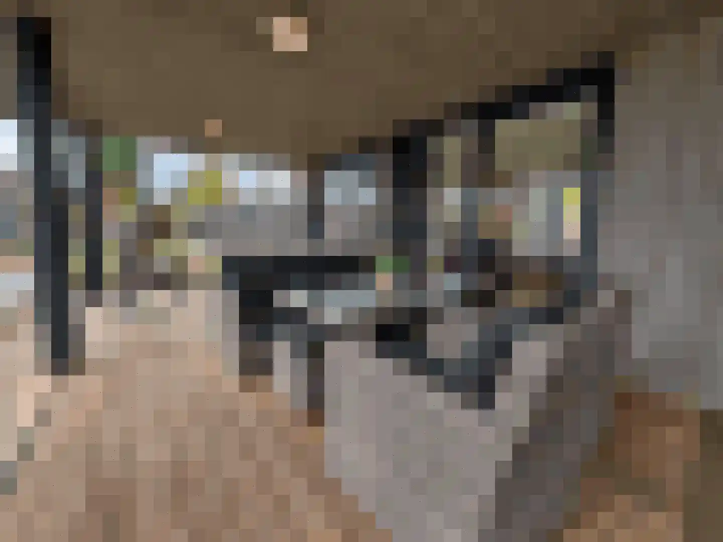 Vloodweg 7 J10 Enter thumbnail 8