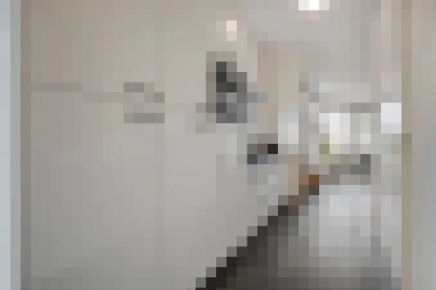 Vloodweg 7 K8 Enter thumbnail 11